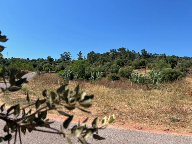 Terreno para Venda em São Bartolomeu de Messines Foto 3