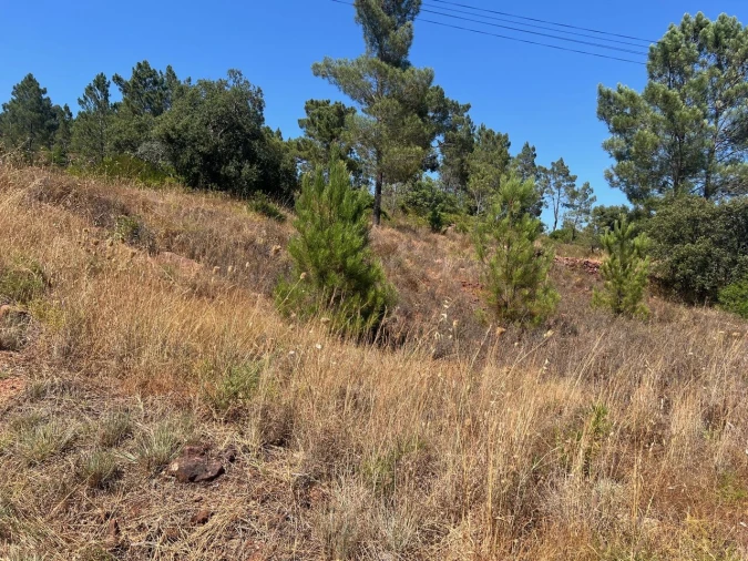 Terreno para Venda em São Bartolomeu de Messines Foto 7