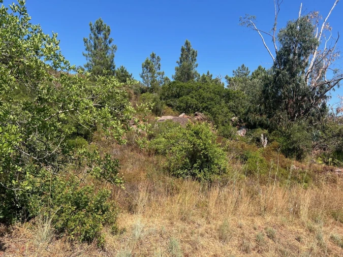 Terreno para Venda em São Bartolomeu de Messines Foto 11