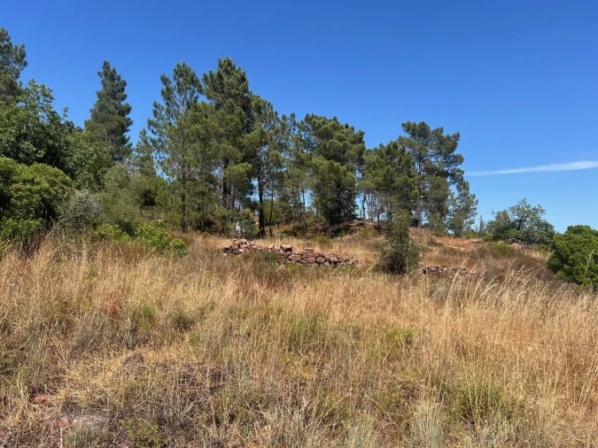Terreno para Venda em São Bartolomeu de Messines Foto 13