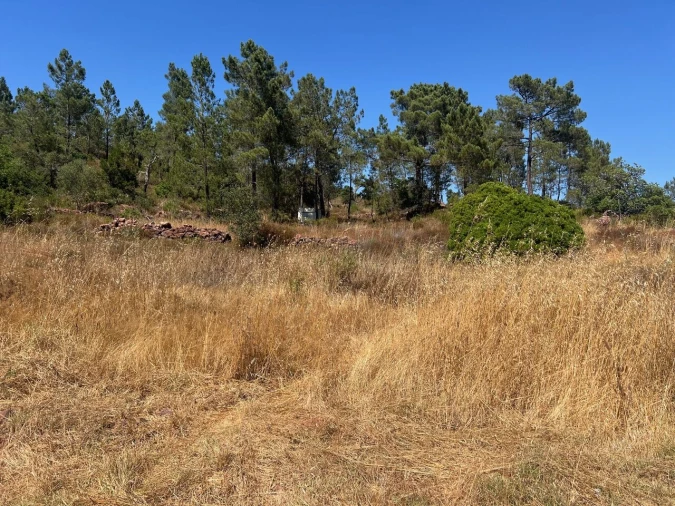 Terreno para Venda em São Bartolomeu de Messines Foto 15