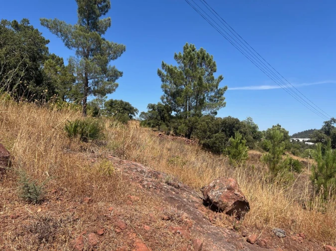 Terreno para Venda em São Bartolomeu de Messines Foto 16