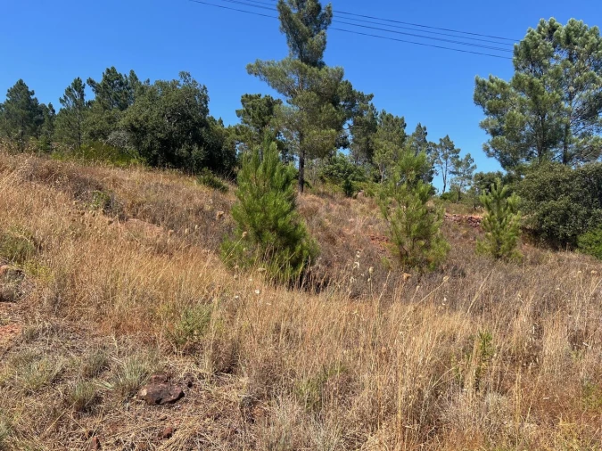 Terreno para Venda em São Bartolomeu de Messines Foto 19