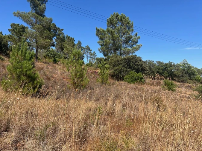 Terreno para Venda em São Bartolomeu de Messines Foto 20