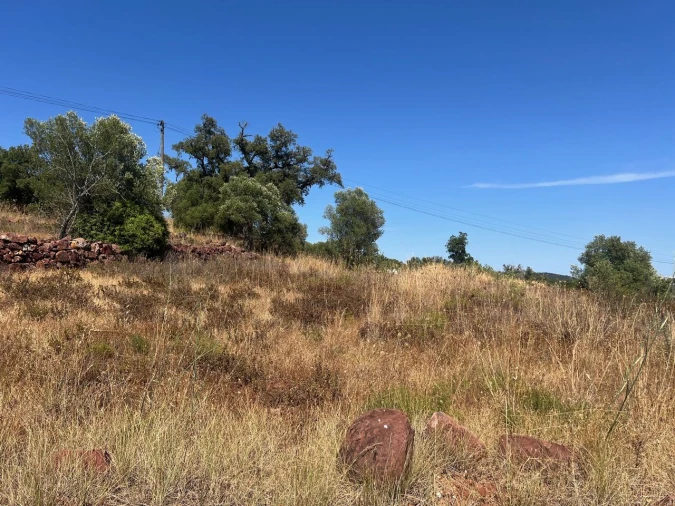 Terreno para Venda em São Bartolomeu de Messines Foto 24