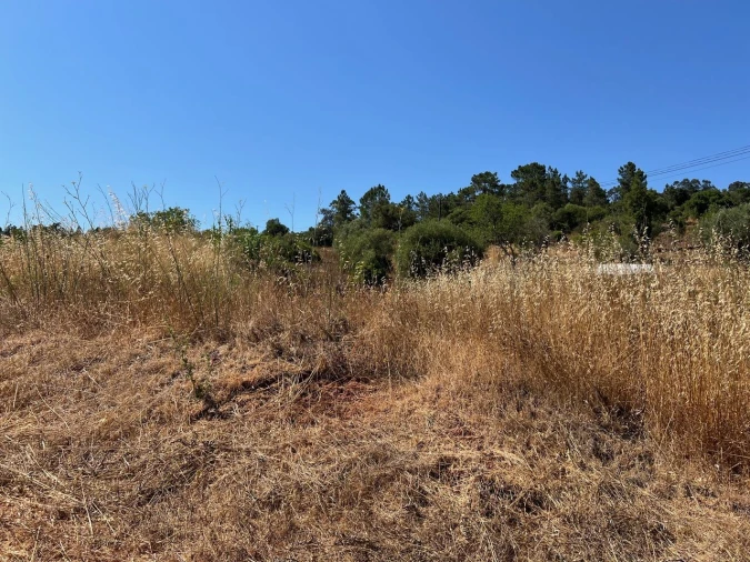 Terreno para Venda em São Bartolomeu de Messines Foto 32