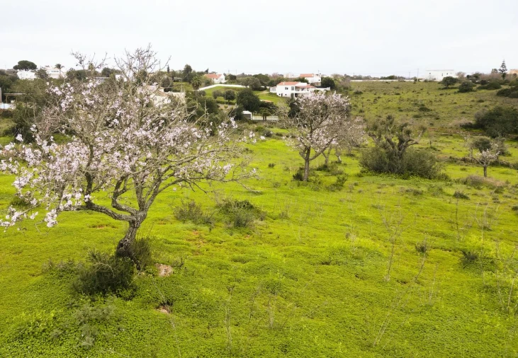 Terreno para Venda em Albufeira e Olhos de Água Foto 4