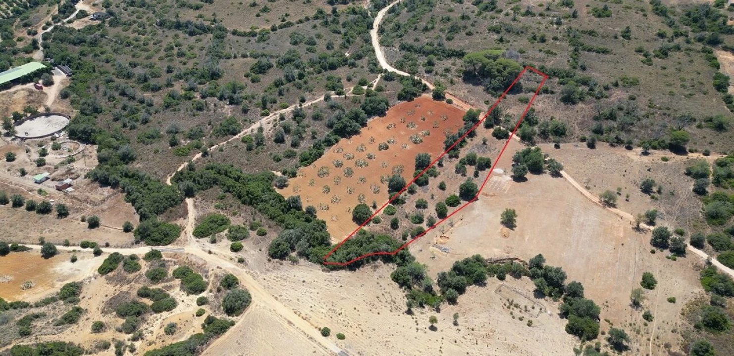 Terreno para Venda em Alcantarilha e Pêra Foto 2