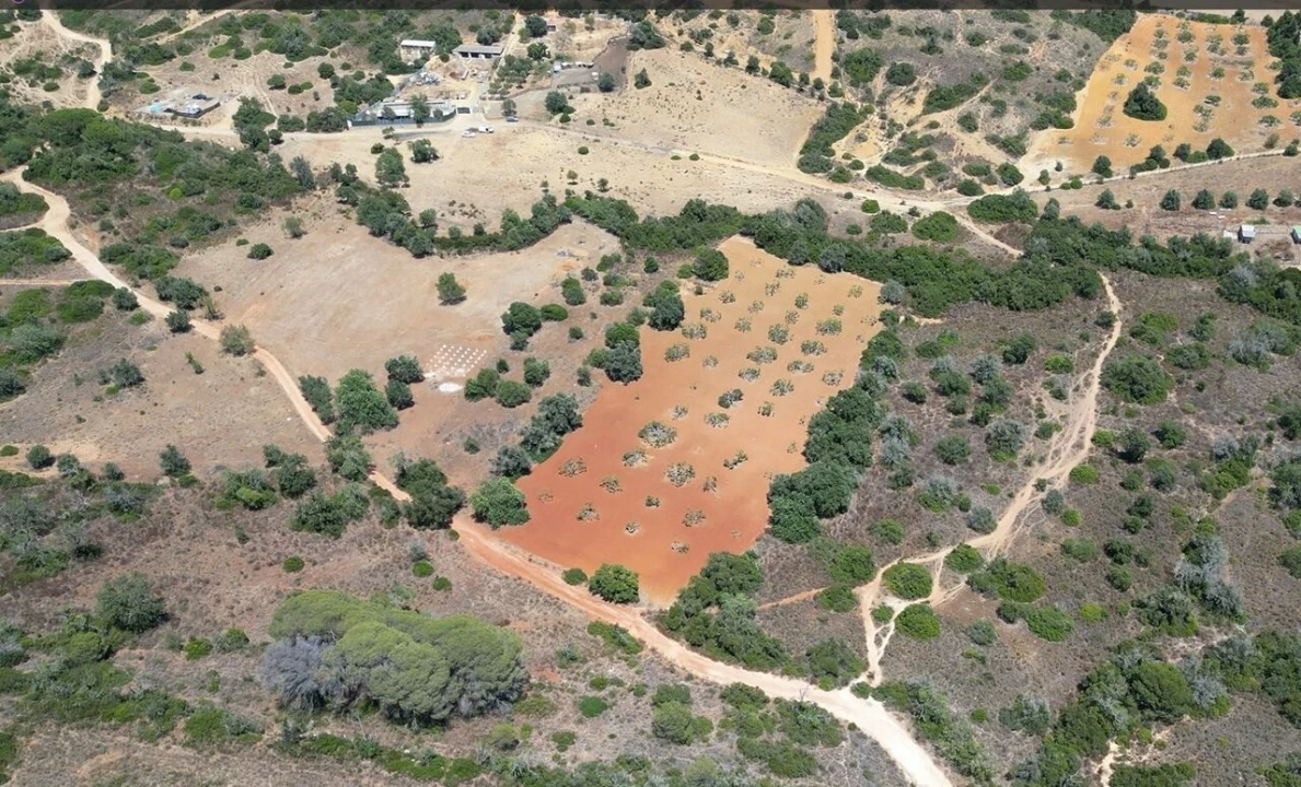 Terreno para Venda em Alcantarilha e Pêra Foto 5