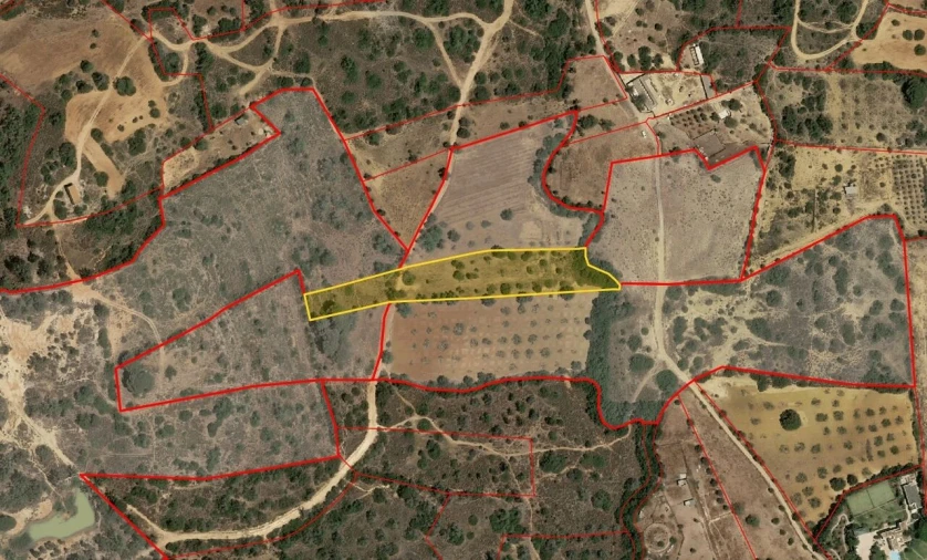 Terreno para Venda em Alcantarilha e Pêra Foto 1