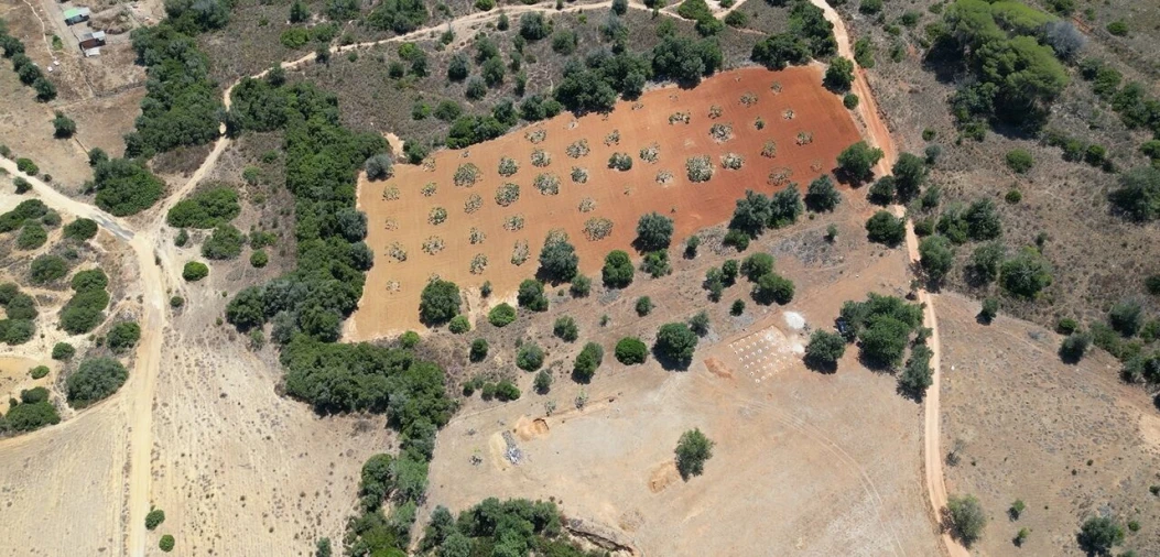 Terreno para Venda em Alcantarilha e Pêra Foto 3