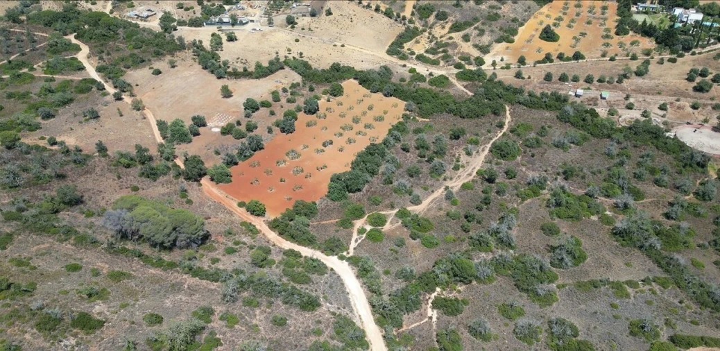 Terreno para Venda em Alcantarilha e Pêra Foto 4