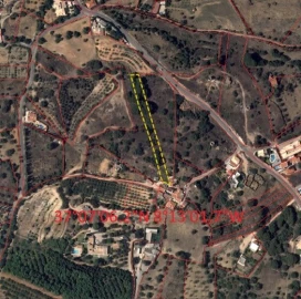 Terreno para Venda em Ferreiras