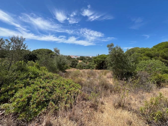Terreno para Venda em Ferreiras Foto 3