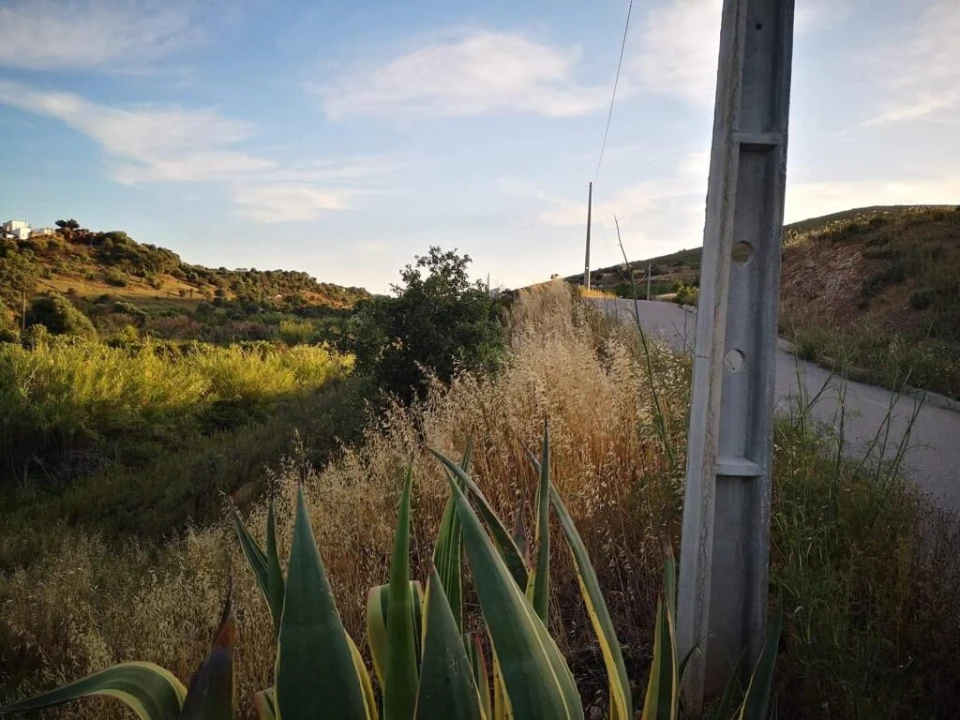 Terreno para Venda em São Bartolomeu de Messines Foto 2