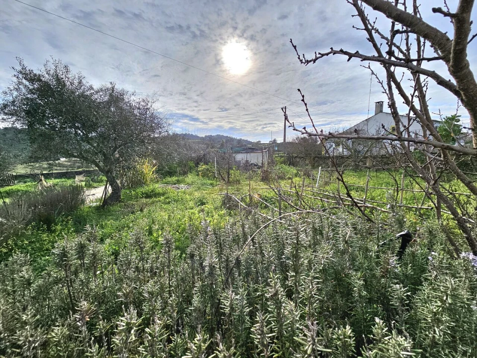 Moradia T3 para Venda em Ameixial Foto 24