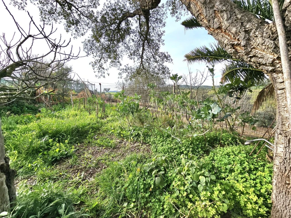 Moradia T3 para Venda em Ameixial Foto 23