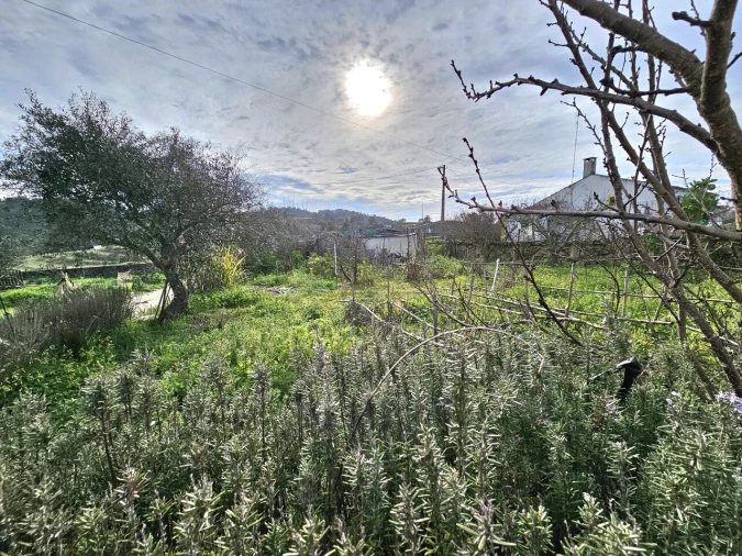 Moradia T3 para Venda em Ameixial Foto 24