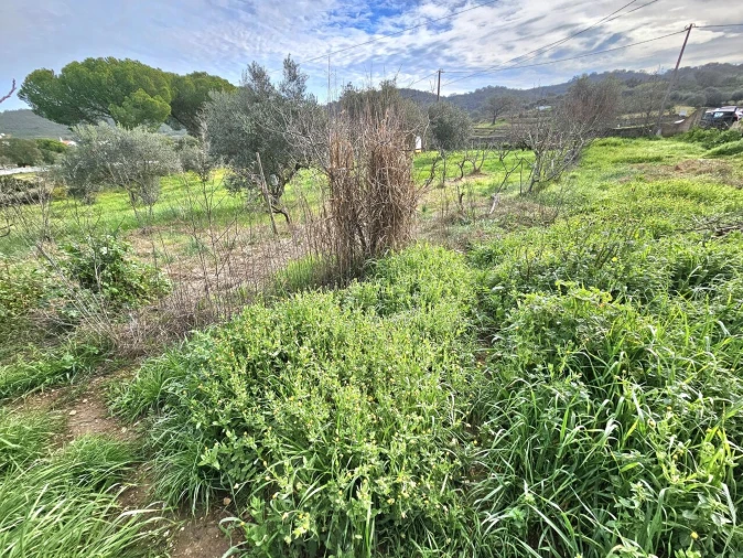 Moradia T3 para Venda em Ameixial Foto 28