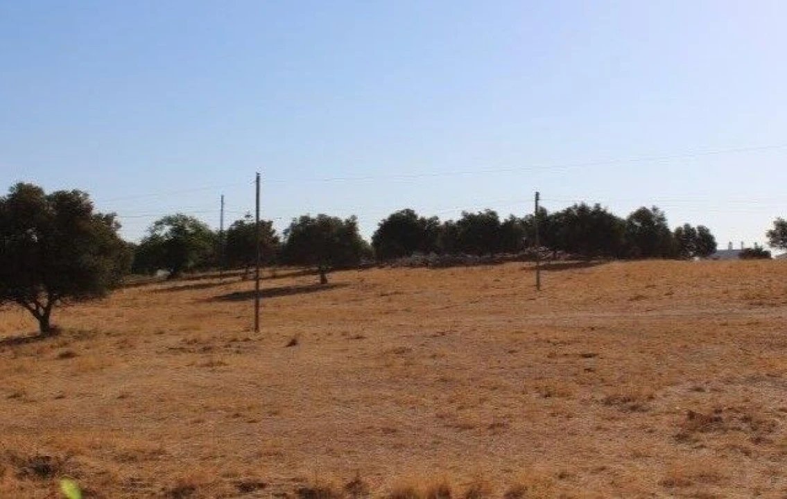 Terreno para Venda em Ferreiras Foto 2