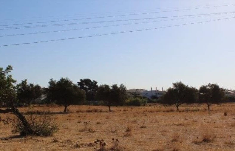 Terreno para Venda em Ferreiras Foto 3