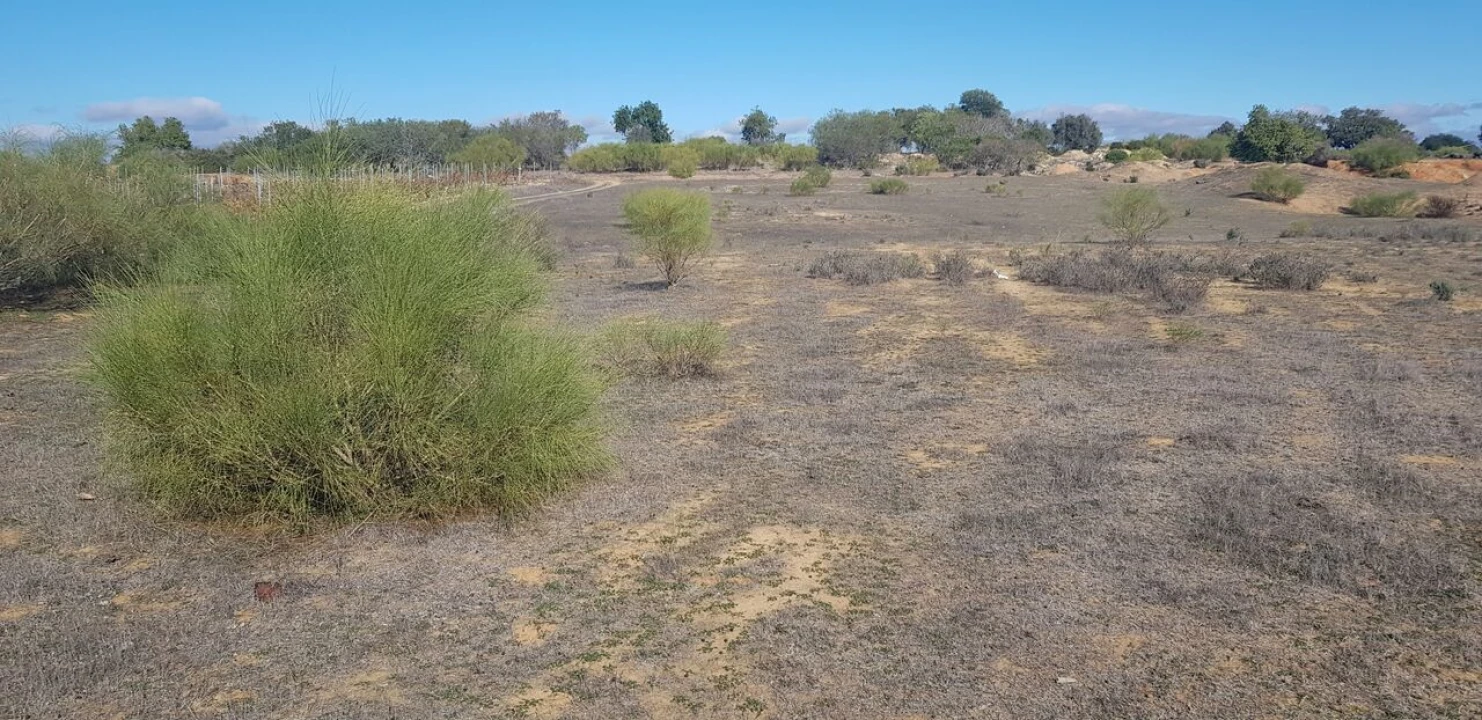 Terreno para Venda em Alcantarilha e Pêra Foto 1