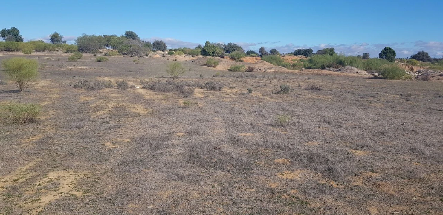 Terreno para Venda em Alcantarilha e Pêra Foto 2