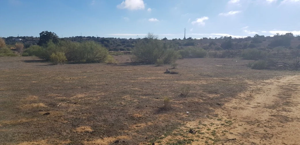 Terreno para Venda em Alcantarilha e Pêra Foto 4