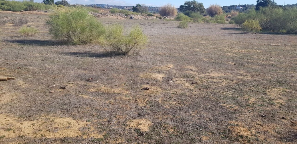 Terreno para Venda em Alcantarilha e Pêra Foto 5