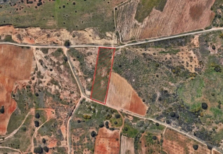 Terreno para Venda em Alcantarilha e Pêra Foto 6