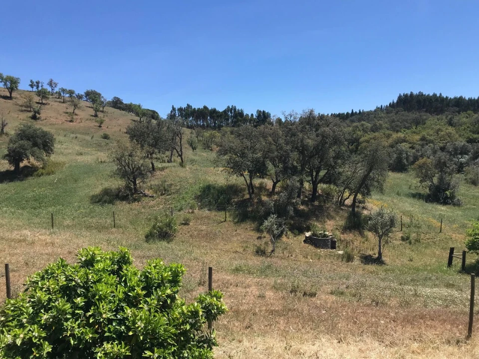 Moradia T2 para Venda em São Martinho das Amoreiras Foto 3