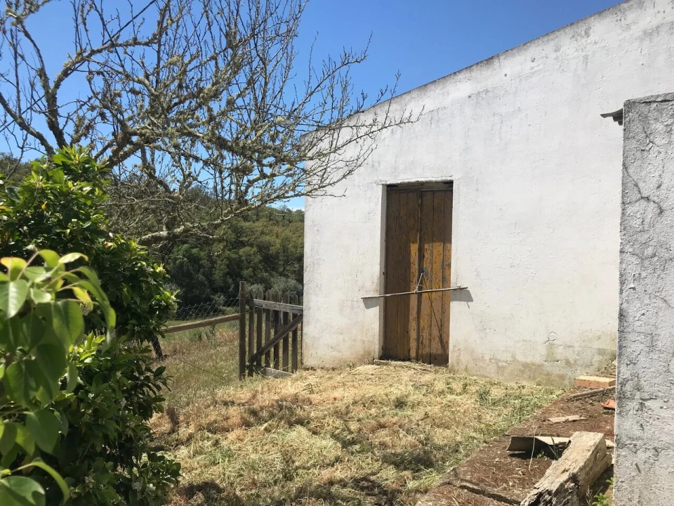 Moradia T2 para Venda em São Martinho das Amoreiras Foto 50