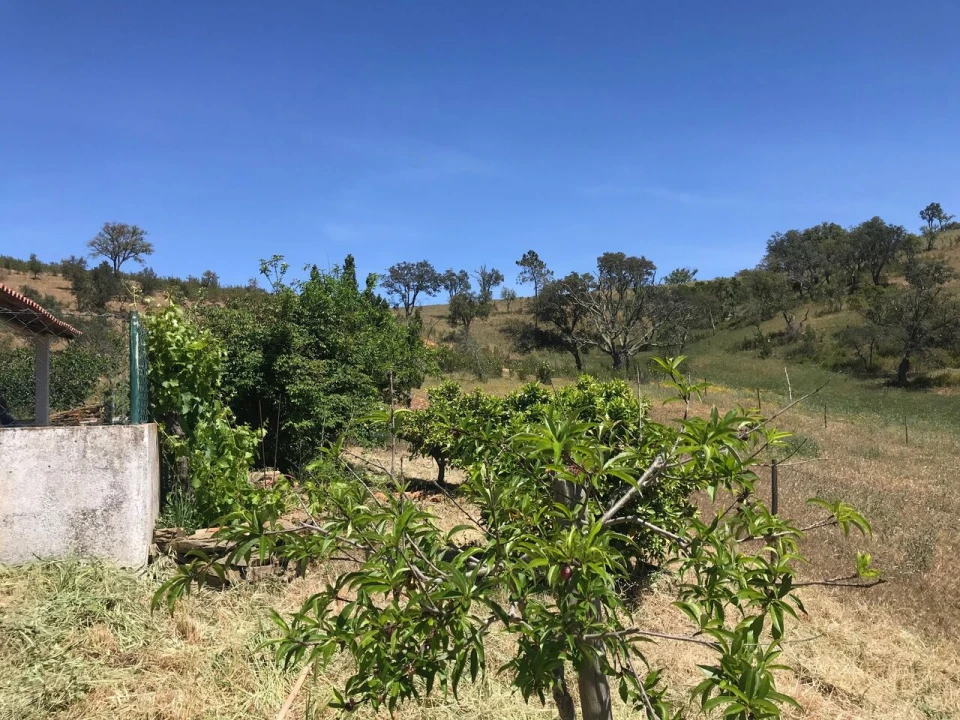 Moradia T2 para Venda em São Martinho das Amoreiras Foto 13