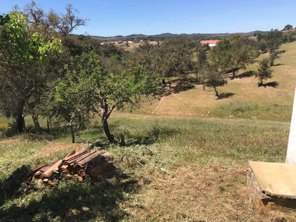Moradia T2 para Venda em São Martinho das Amoreiras Foto 31