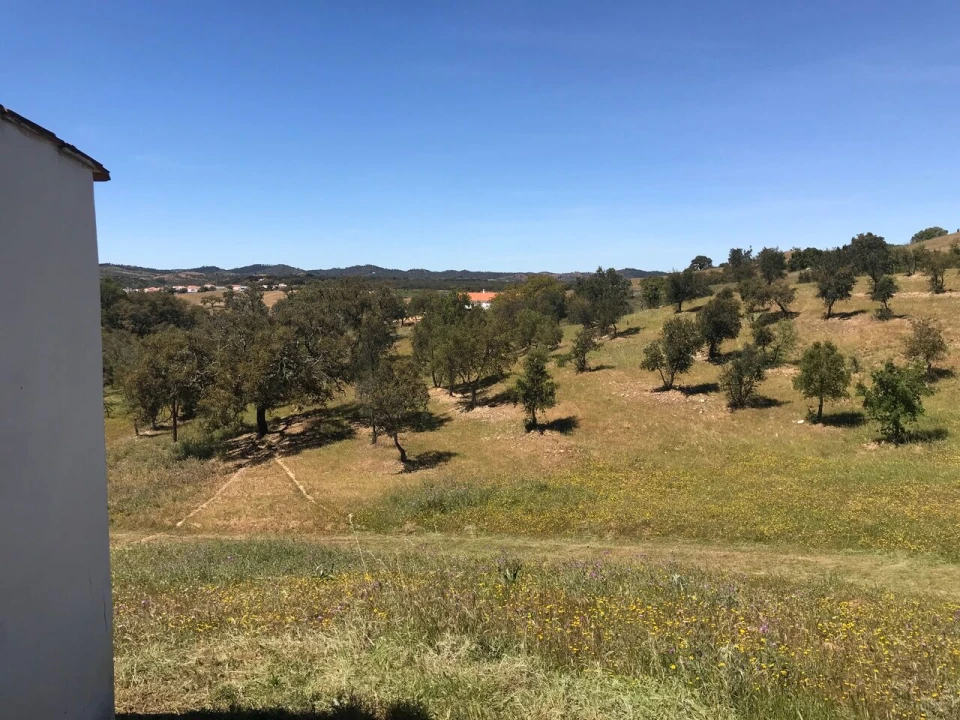 Moradia T2 para Venda em São Martinho das Amoreiras Foto 43
