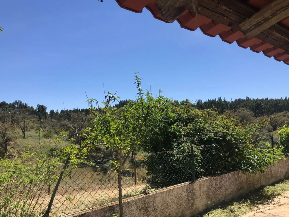 Moradia T2 para Venda em São Martinho das Amoreiras Foto 11