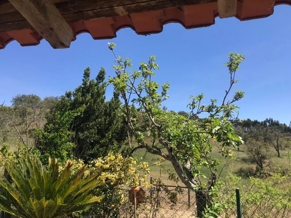 Moradia T2 para Venda em São Martinho das Amoreiras Foto 15