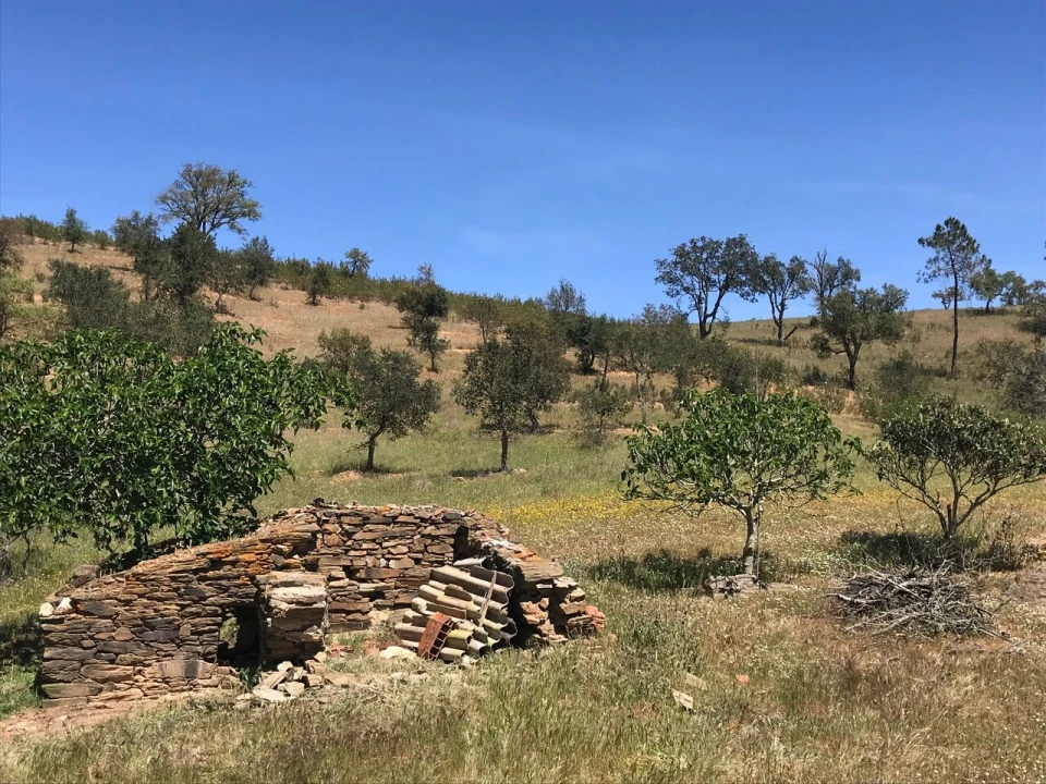 Moradia T2 para Venda em São Martinho das Amoreiras Foto 44