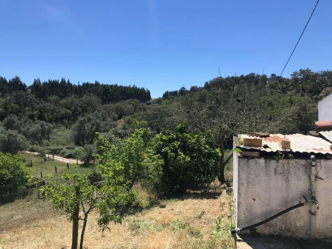 Moradia T2 para Venda em São Martinho das Amoreiras Foto 10