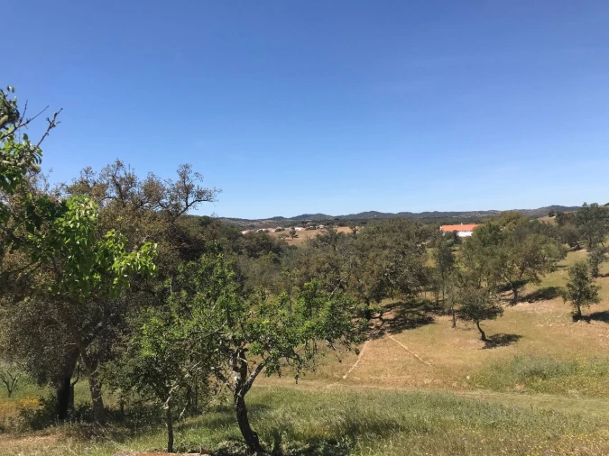Moradia T2 para Venda em São Martinho das Amoreiras Foto 30