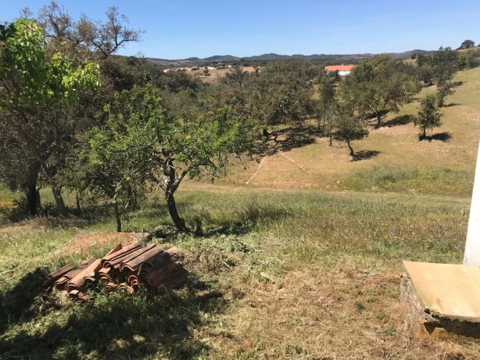 Moradia T2 para Venda em São Martinho das Amoreiras Foto 31