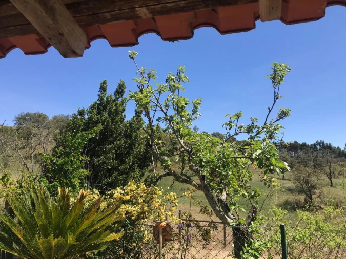 Moradia T2 para Venda em São Martinho das Amoreiras Foto 15