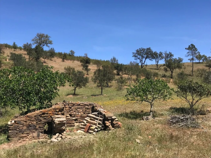 Moradia T2 para Venda em São Martinho das Amoreiras Foto 44