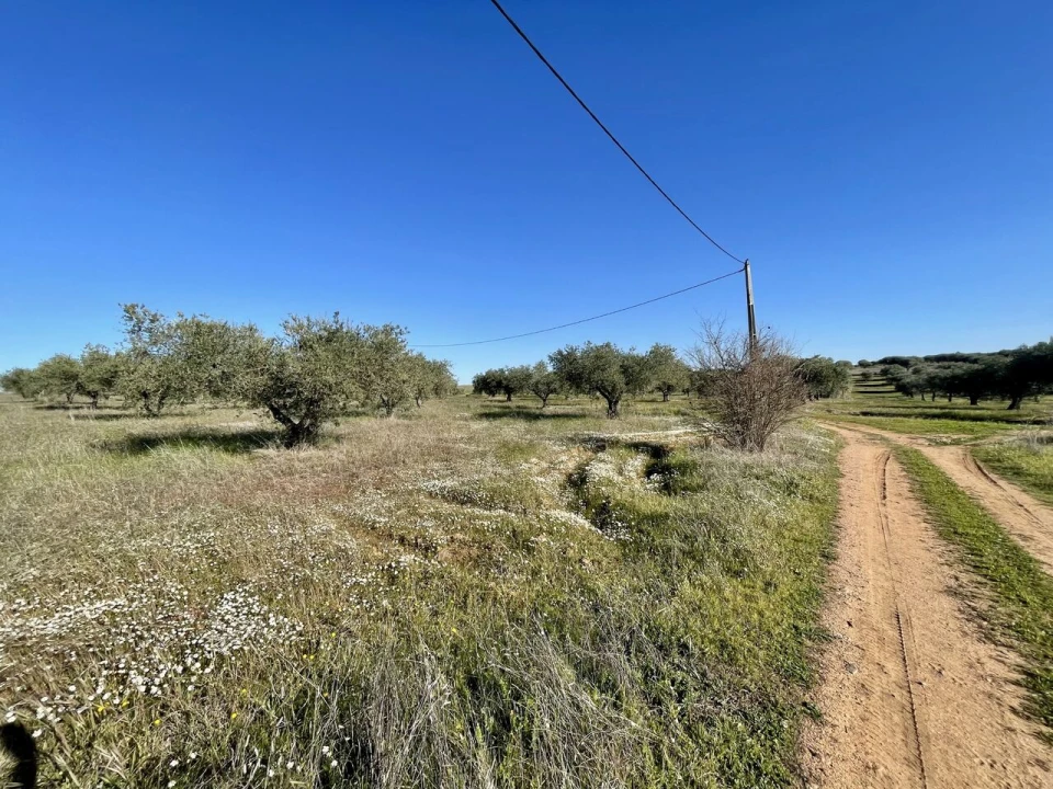 Quinta T5 para Venda em Povoa de São Miguel Foto 3