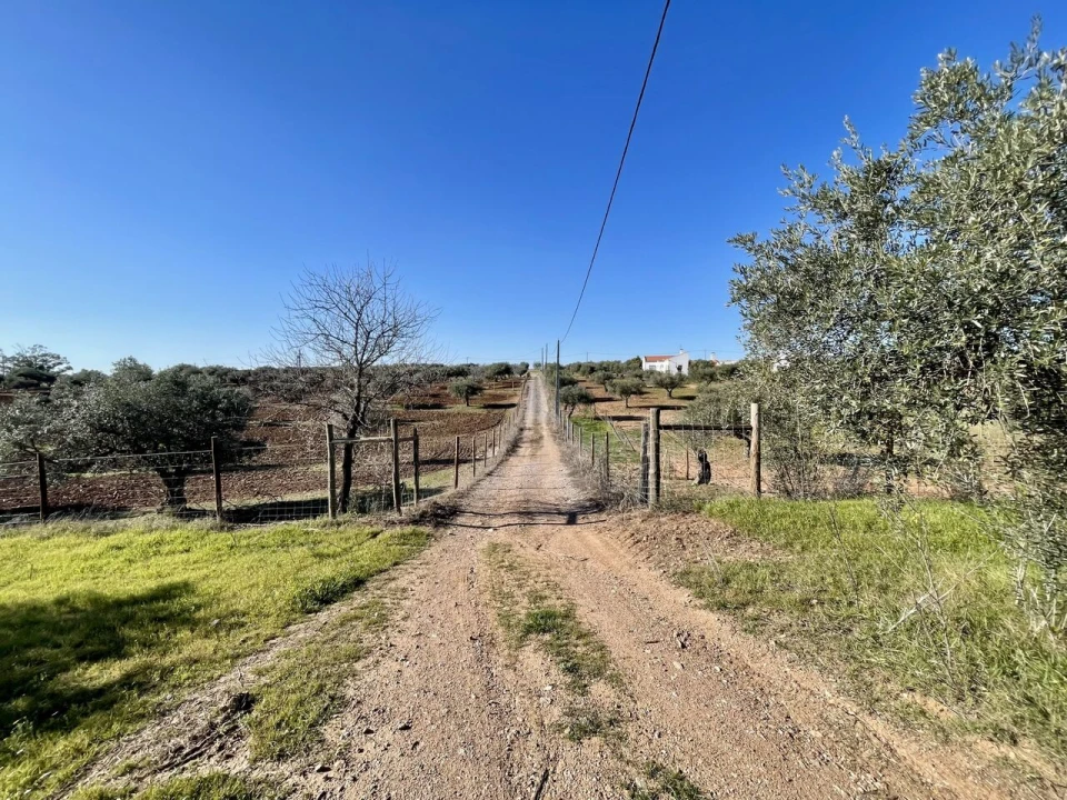 Quinta T5 para Venda em Povoa de São Miguel Foto 14