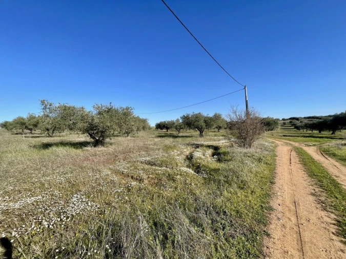 Quinta T5 para Venda em Povoa de São Miguel Foto 3