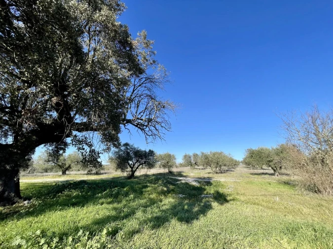 Quinta T5 para Venda em Povoa de São Miguel Foto 4