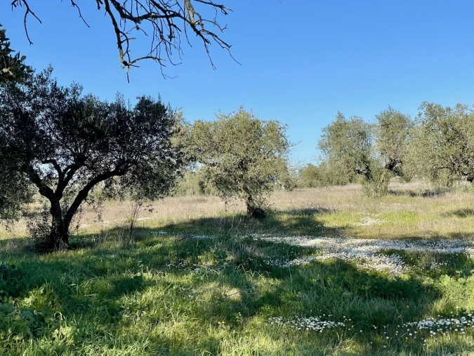 Quinta T5 para Venda em Povoa de São Miguel Foto 6