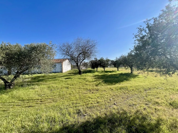 Quinta T5 para Venda em Povoa de São Miguel Foto 12