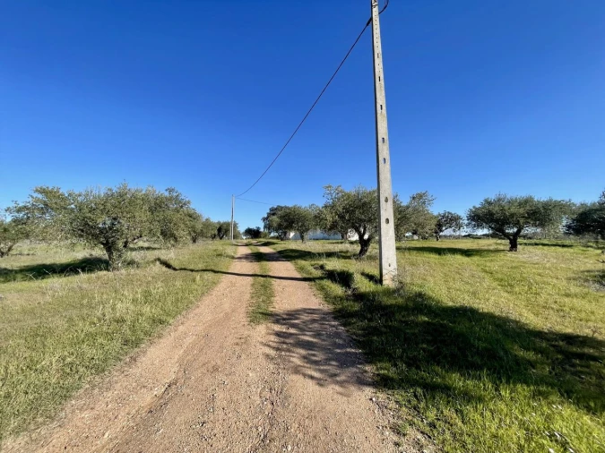 Quinta T5 para Venda em Povoa de São Miguel Foto 15